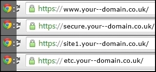 OV WildCard SSL